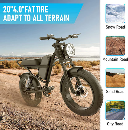 Fat Tires Electric Bike for Adults