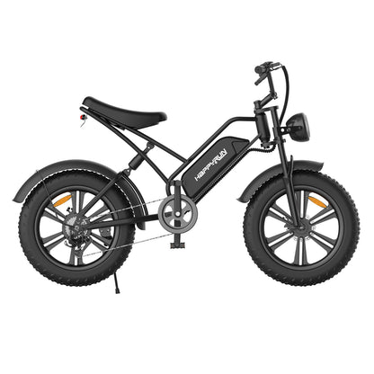 HR-G50 20inch Fat Tyres Off-road Electric Bike