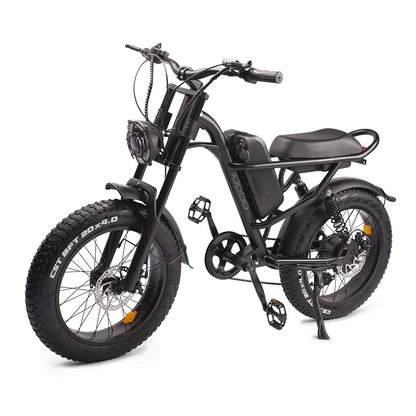 Fat Tires Electric Bike for Adults